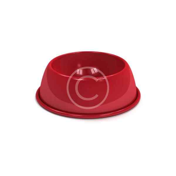 Ceramic Bowl - Image 2