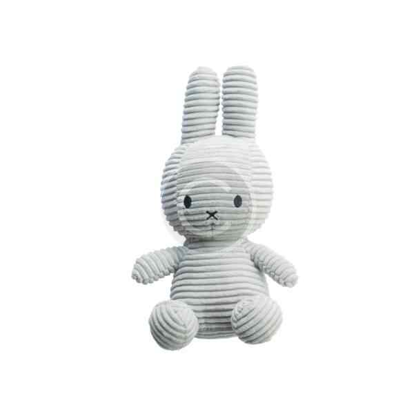 Plush Toy for Dog